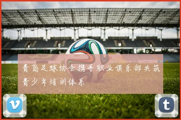 青岛足球协会携手职业俱乐部共筑青少年培训体系
