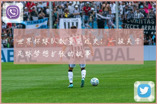 世界杯球队数量变迁史：一段关于足球梦想扩张的故事