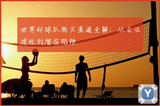 世界杯球队购买渠道全解：从合法途径到潜在陷阱