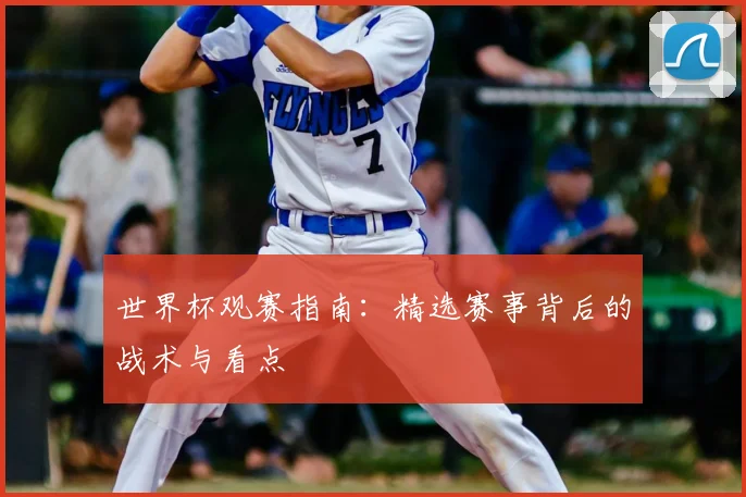 世界杯观赛指南：精选赛事背后的战术与看点