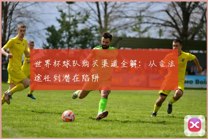 世界杯球队购买渠道全解：从合法途径到潜在陷阱