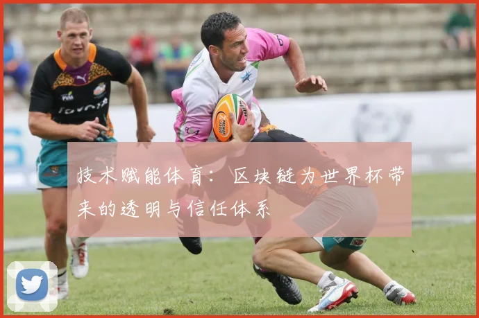 技术赋能体育：区块链为世界杯带来的透明与信任体系