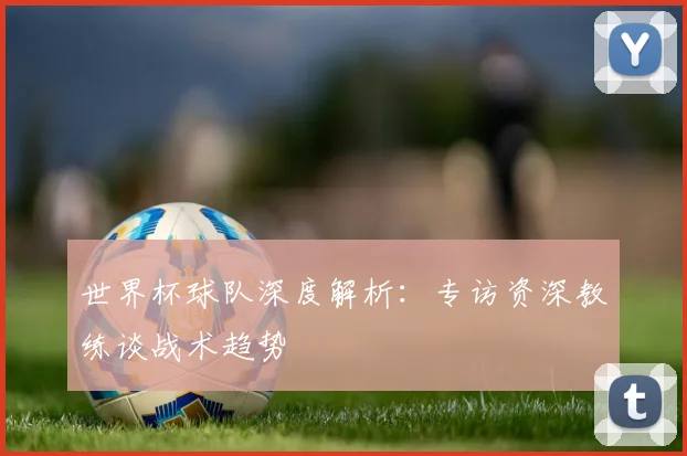 世界杯球队深度解析：专访资深教练谈战术趋势