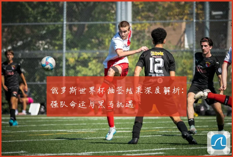 俄罗斯世界杯抽签结果深度解析：强队命运与黑马机遇