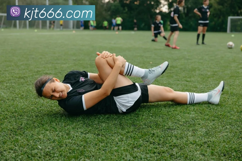 App Interface Preview