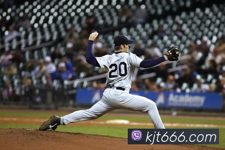 开云手机入口登录官网APP 封面图